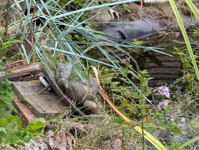 2026 08 18 Frosch